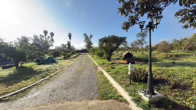 FINCA RUSTICA DE 32.000 M2 EN GIBRALEÓN CON CASA — 9