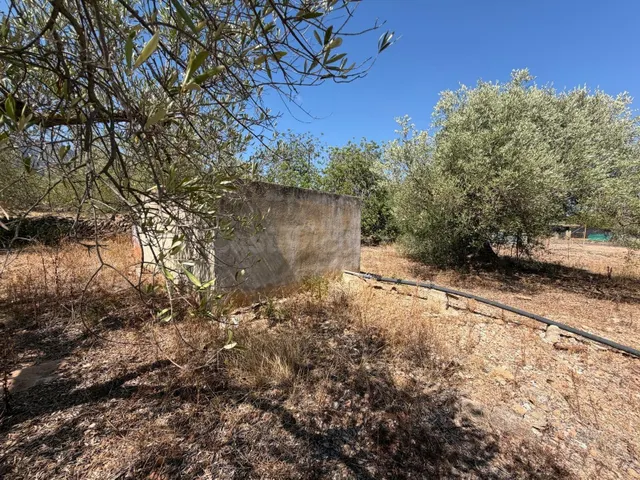 Terreno en venta - Alcanar - foto 2
