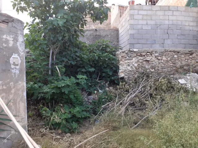 CASA DE TRES habitaciones EN OLULA DEL RÍO, ALMERÍA. PARA REFORMAR. — 14