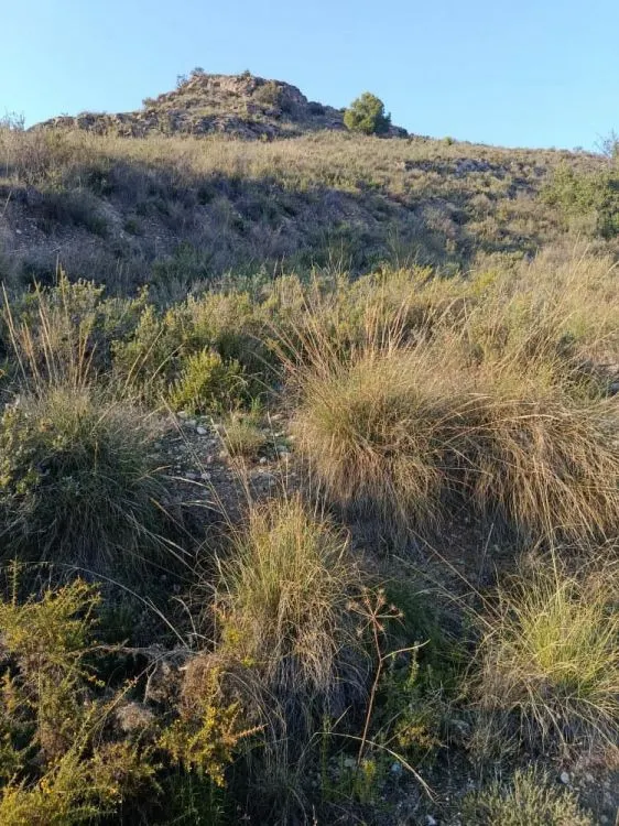 Parcela en venta - Alora pueblo — 24