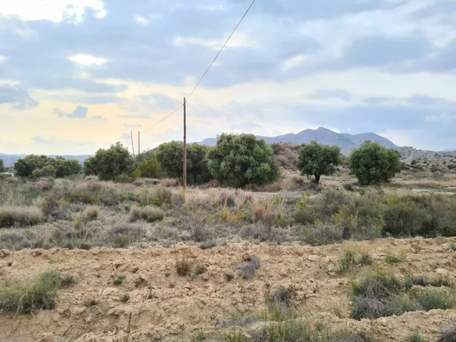 SE VENDE TERRENO EN LA ALCORAYA, ALICANTE.SEVENDGROUP.COM — 13