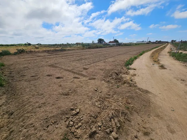 Terreno agricola en venta en Malgrat de Mar — 13