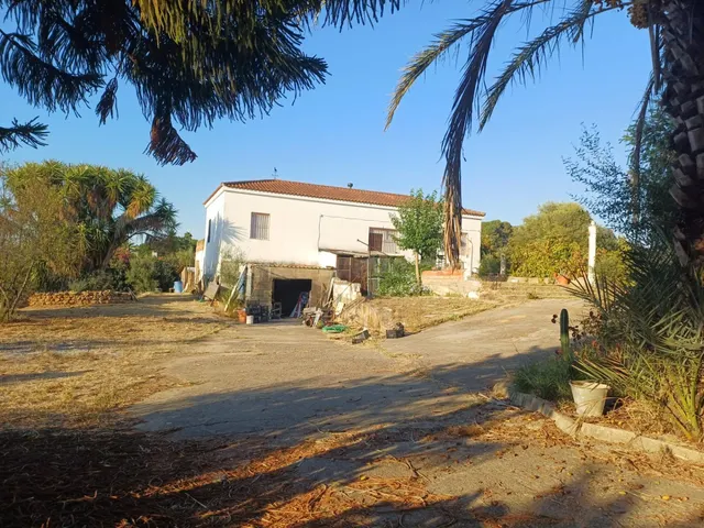FINCA RÚSTICA A 1 KM DE LA PUEBLA DEL RÍO – 3.300 m2, VIVIEN - foto 3