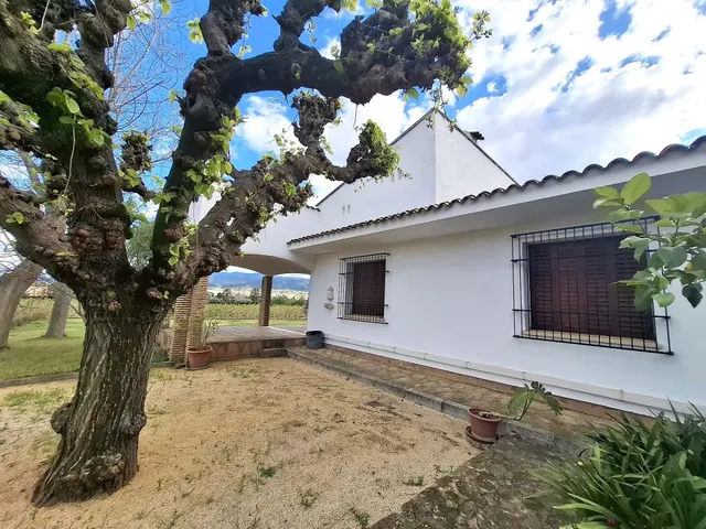 Chalet en Partida la Solana - Ontinyent — 3