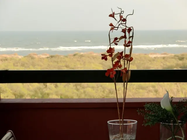 APARTAMENTO EN URBANIZACIÓN PALMERAS CON VISTAS AL MAR — 12