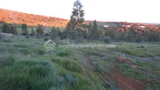 OPORTUNIDAD!! Parcela de 2500m2 totalmente vallada en ARROPE - foto 2