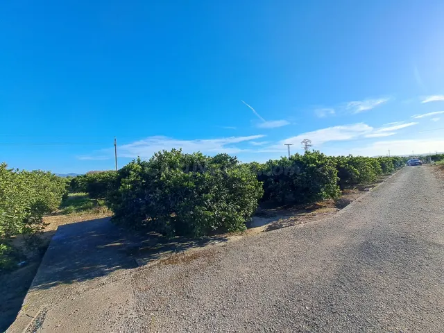 TERRENO DE MÁS DE 24.200 m2, COMPUESTO POR 5 CAMPOS - foto 4