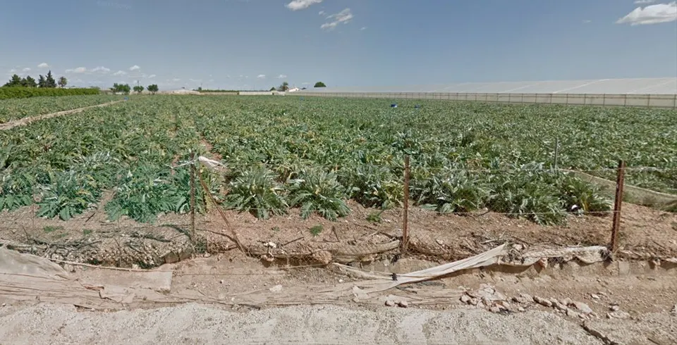 Venta terreno rústico en San Javier