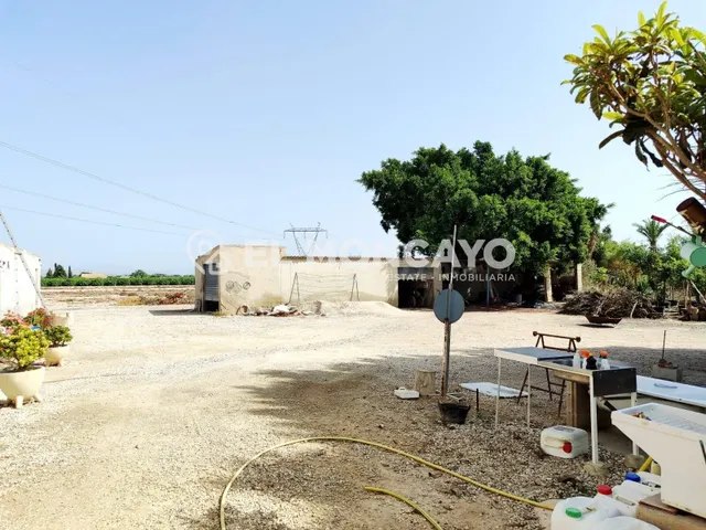 Fantástica casa de campo con parcela en la zona del campo de Elche, Alicante, Costa Blanca — 7