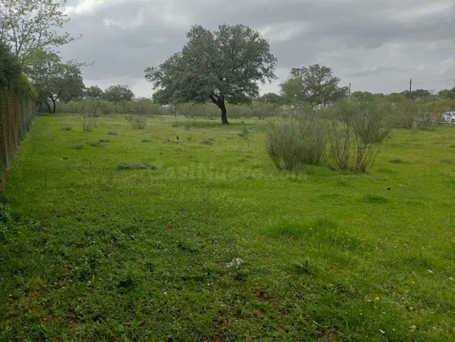 ¡Magnífica parcela urbana en la Urb. Sierra Norte – Castilbl - foto 3
