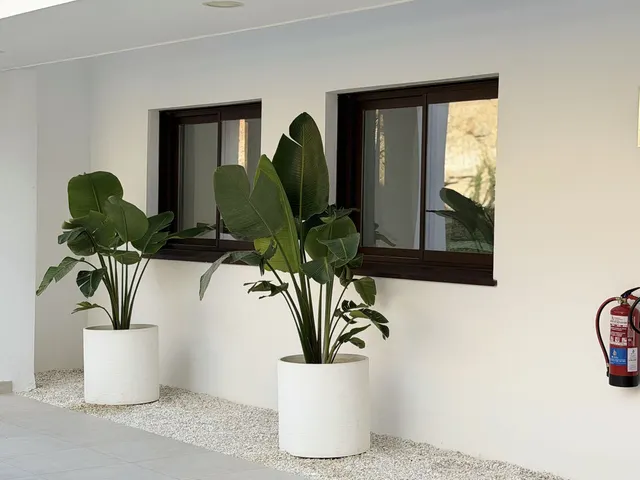 Apartamento 2 habitaciones 80m² en venta - Centro — 22