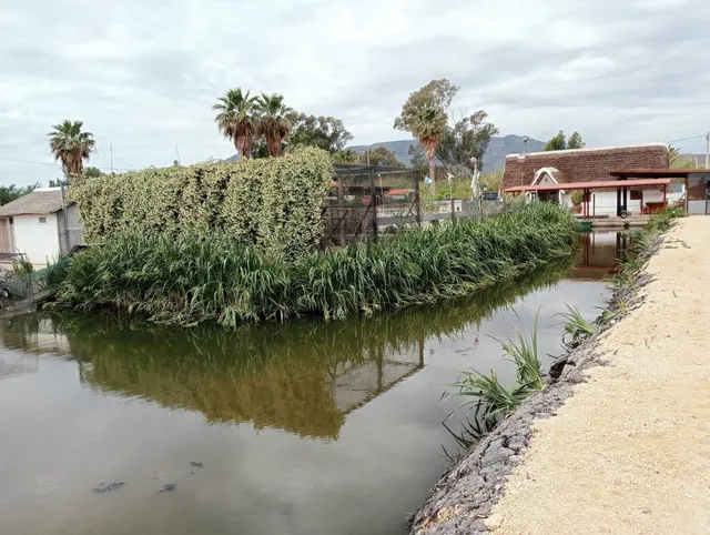 BARRACA TÍPICA DEL DELTA EN AMPOSTA — 25