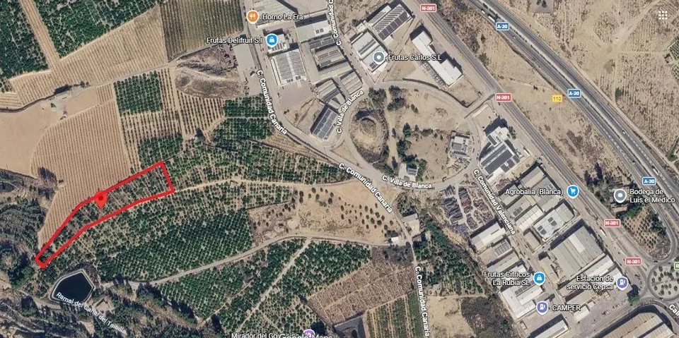 Finca rústica en Blanca | limoneros en producción y para construir vivienda