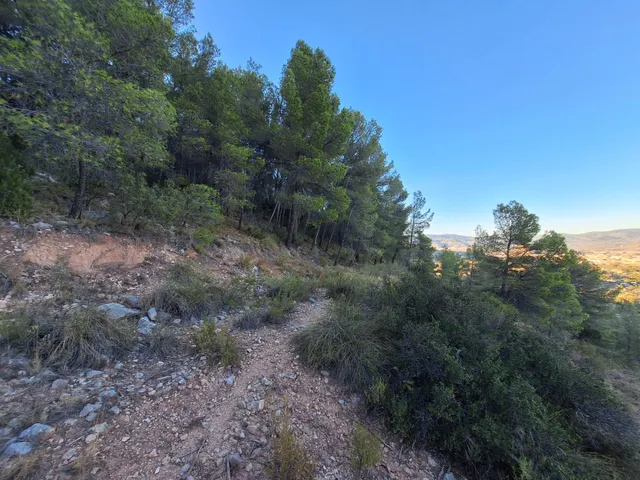 Finca rústica forestal en venta con vistas panoramicas · Castalla (Alicante) — 6