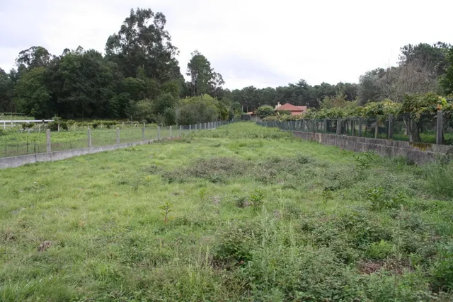 ¡¡¡¡TERRENO EDIFICABLE A 20 MIN DE VIGO, 5 MIN DE TUI Y 8 MIN DE TOMIÑO !!!!! — 10