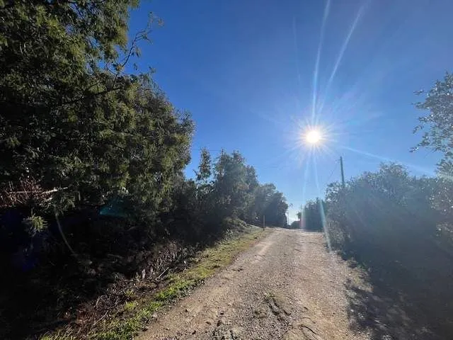 Solar para chalets en Palau-Saverdera — 15