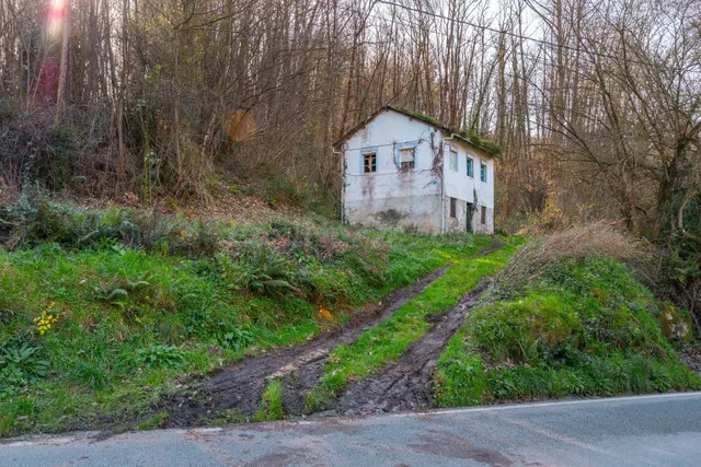 Oportunidad real: casa con parcela para rehabilitar en Tineo - foto 3