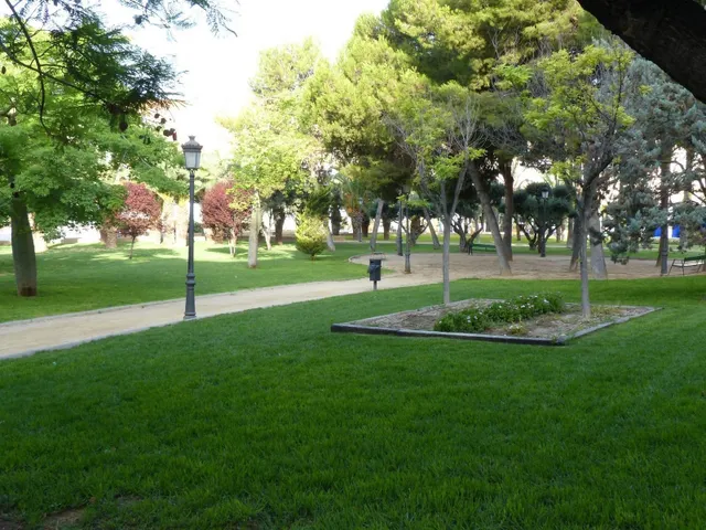 Local Comercial en Molina de Segura, Zona Centro — 12
