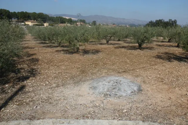 Terreno en la Ca Pallús - Ontinyent — 11