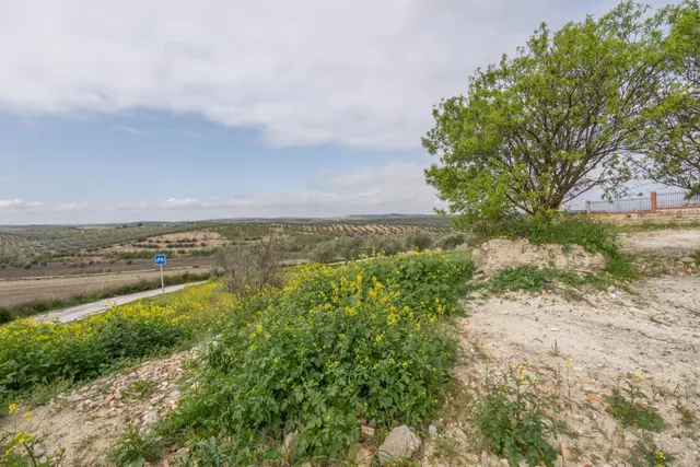 Casa de diseño en parcela de 985 m2 en Cúllar Vega (El Ventorrillo) — 44