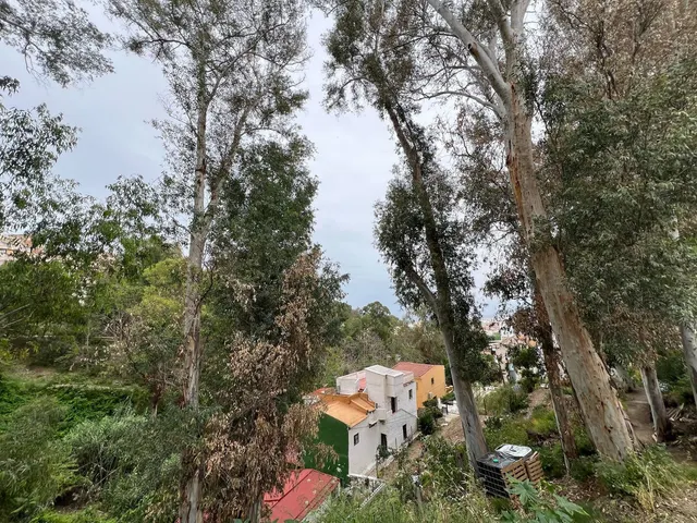 Parcela 1469m² en venta - Limonar — 8