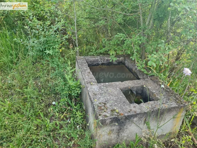 SE VENDE TERRENOS RUSTICOS EN TUDELA DE DUERO - foto 5