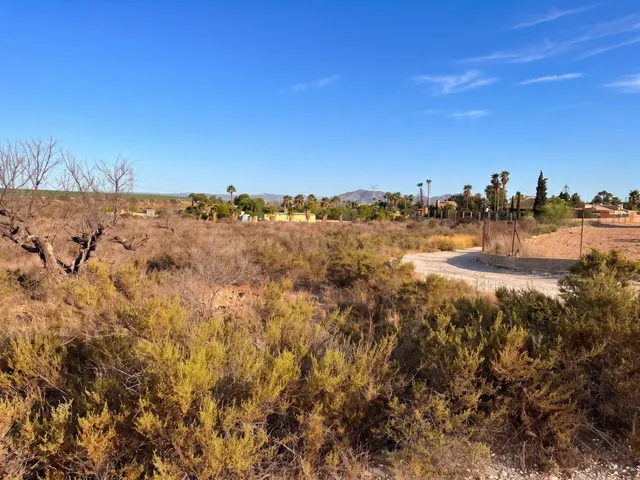 ÚNICA PARCELA de 17000m para construir en PEÑA LAS AGUILAS - foto 4