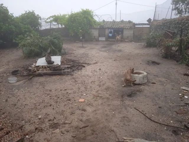 Casa con terreno en Montánchez - foto 3