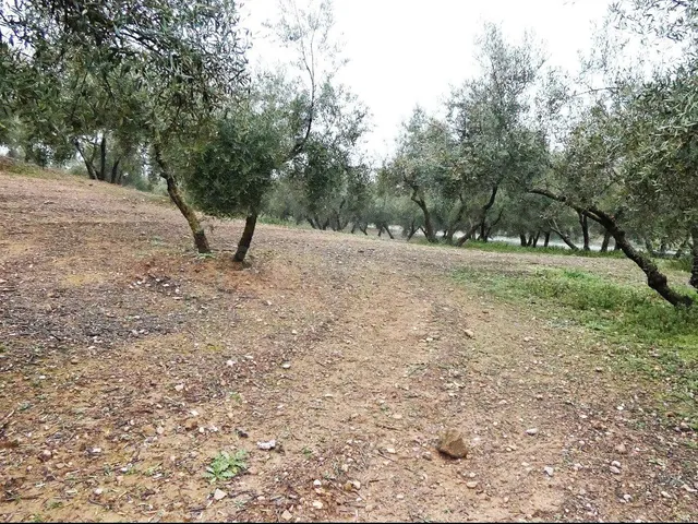 Finca rústica en Peligros – Excelente ubicación y acceso — 3