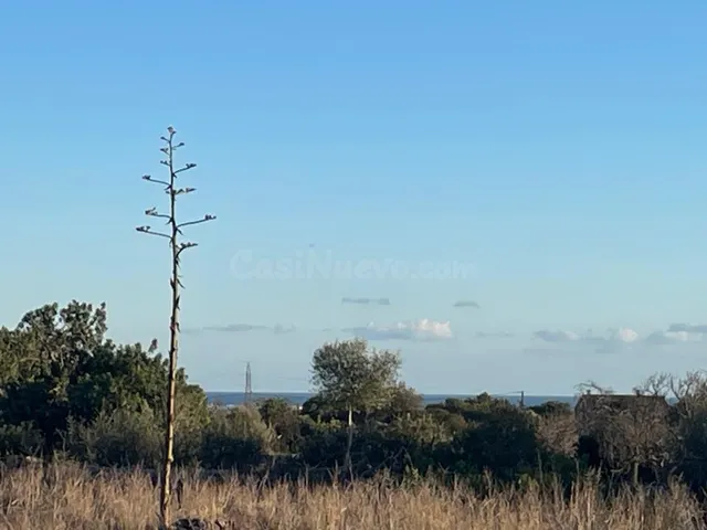 Casa de campo 4 habitaciones 350m² en venta - Área de Santan - foto 2