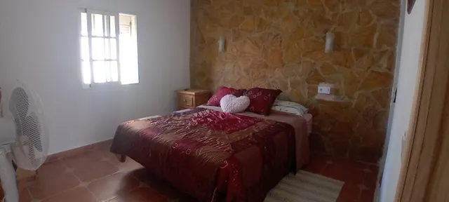 Piso en planta baja en C/ Prim — 15
