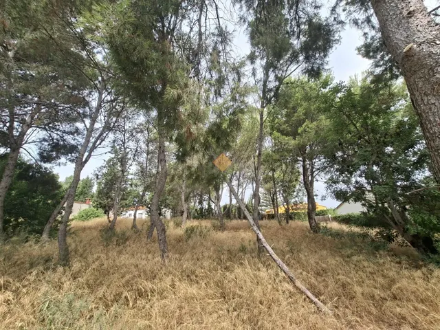 SE VENDE TERRENO URBANO EN LA ZONA DE MONTESOL BÉTERA - foto 4