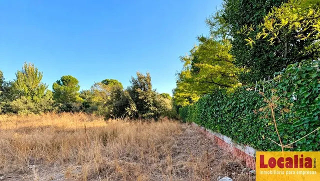 Parcela para vivienda unifamiliar La Florida - El Plantío — 7