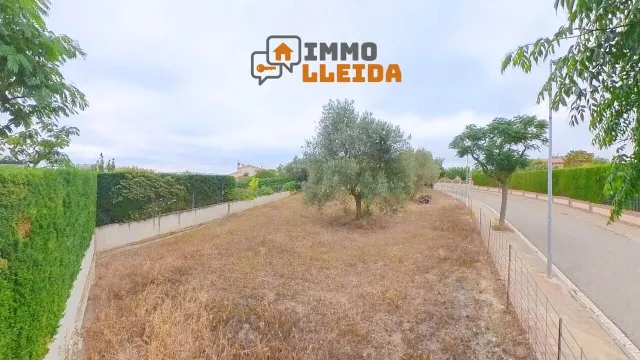 ¡Haz realidad la casa de tus sueños en Cervera! — 21
