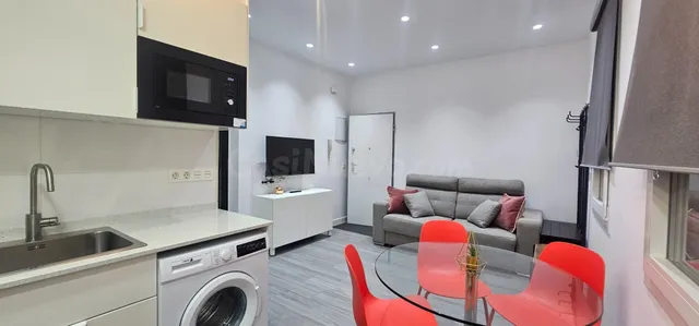 Piso 1 habitación 33m² en alquiler - Lavapiés-Embajadores - foto 5