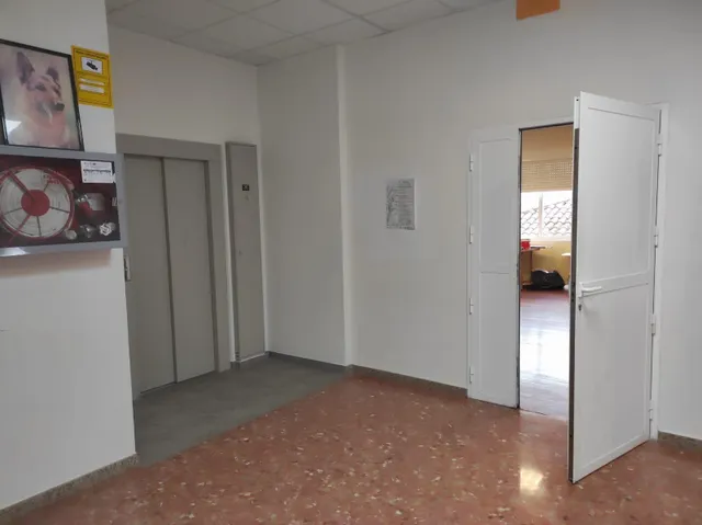 LOCAL COMERCIAL EN LOS TILOS — 9