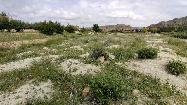 Parcela en venta - Calasparra