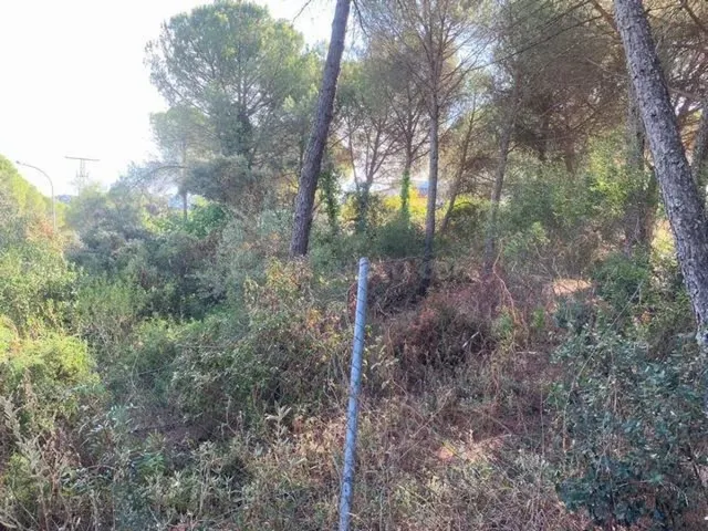 ZONA LAS JARAS - Parcela urbana de terreno de 1.500 m2 con p - foto 2