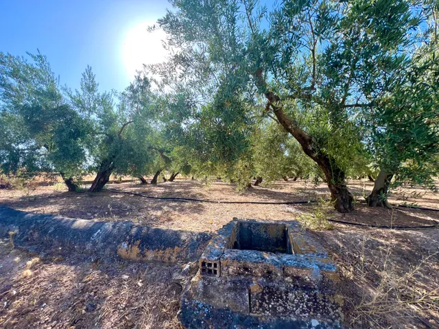 ALBOLOTE - PANTANO CUBILLAS — 28