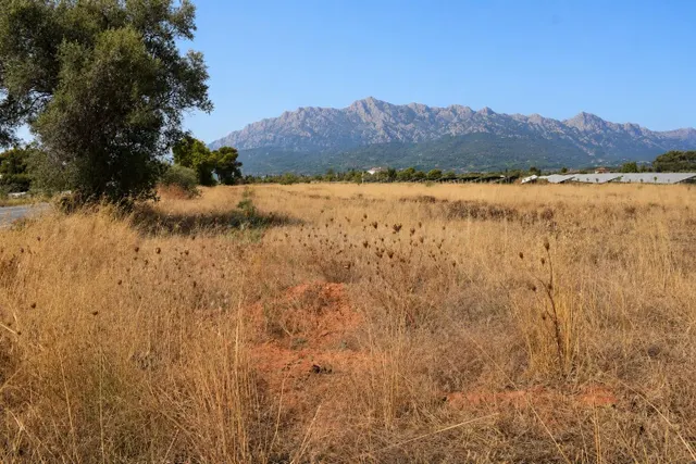 Finca rústica con posibilidad de vivienda en Santa Maria de 