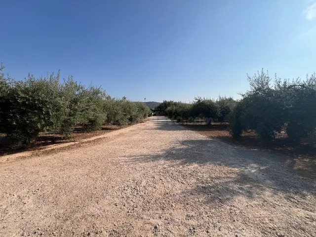 Finca rústica con dos viviendas, piscina y múltiples constru - foto 2