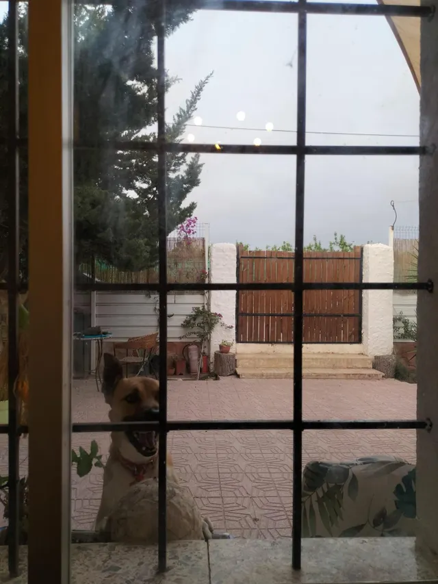 Casa con encanto en Campotejar¡¡¡ — 11