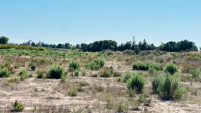 Terreno de 12.000 m2 en Perleta. — 2