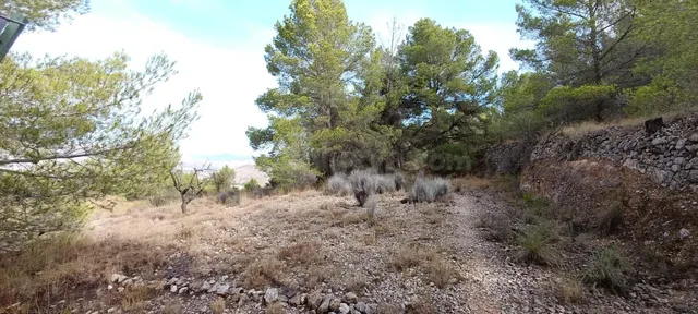 Encantadora Casa de Campo en Hondon de las Nieves - Oportunidad Única — 2