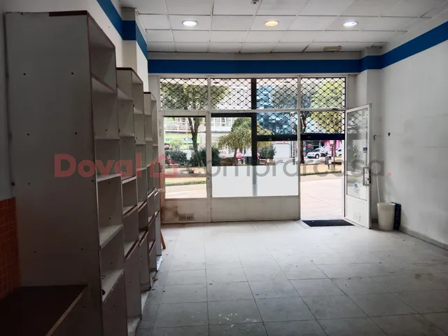 LOCAL COMERCIAL EN PIZARRO — 4