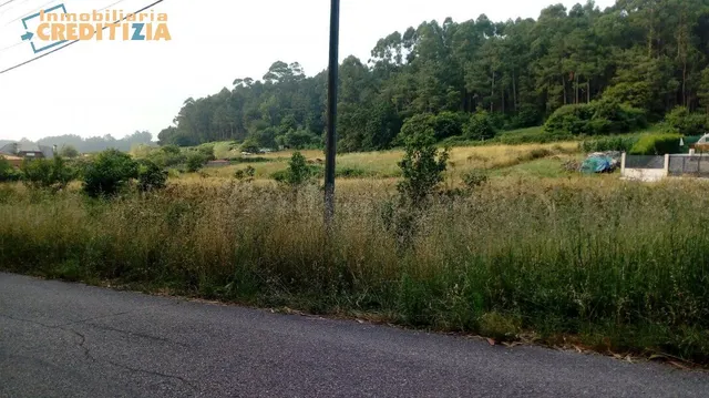 FINCA DE 600M - foto 2