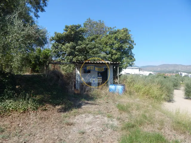 OPORTUNIDAD PARCELA DE REGADÍO CON ÁRBOLES FRUTALES EN PLENA PRODUCCION EN ONTINYENT — 8