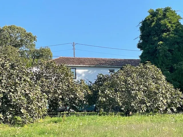 CASA SEÑORIAL DE 1807 CON FINCA DE 6.500M2. PERFECTA CASA RURAL — 25