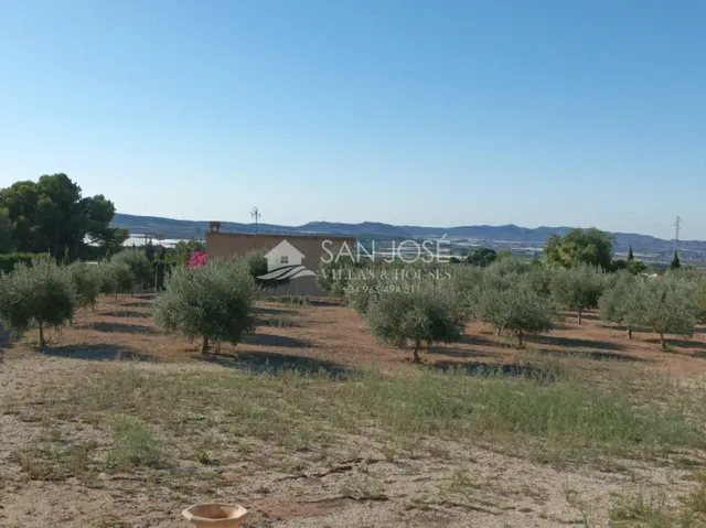 INMOBILIARIA SAN JOSE VENDE ESTUPENDO CHOLLO DE  CHALET EN POZOBLANCO-MONFORTE DEL CID — 37