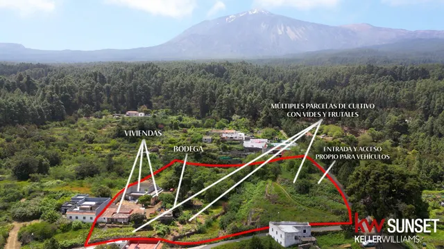 Finca con vivienda y viñedos en Icod de los Vinos — 26